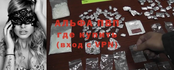 молекула духа Бородино