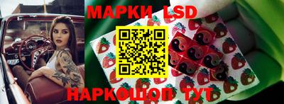 ECSTASY Новокубанск