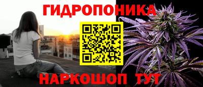 гидропоника Новозыбков