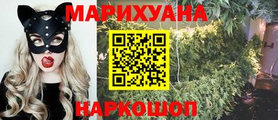 гидропоника Новозыбков