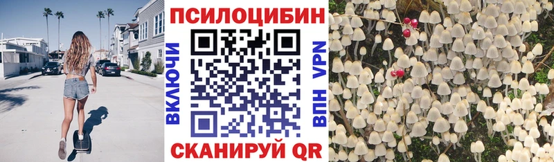 OMG маркетплейс где купить наркоту Валуйки Галлюциногенные грибы мухоморы